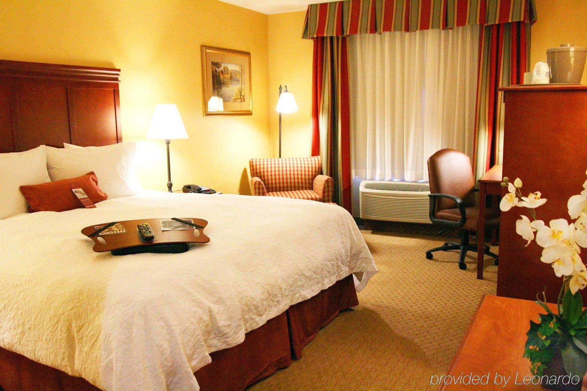 Hampton Inn & Suites Los Angeles Burbank Airport Værelse billede
